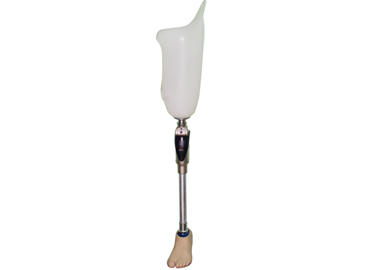 LOWER EXTREMITY